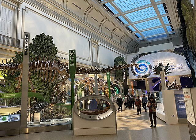 恐龍化石大廳 Deep Time