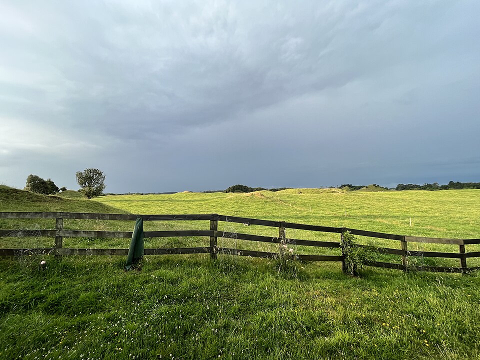 紐西蘭乳牛牧場