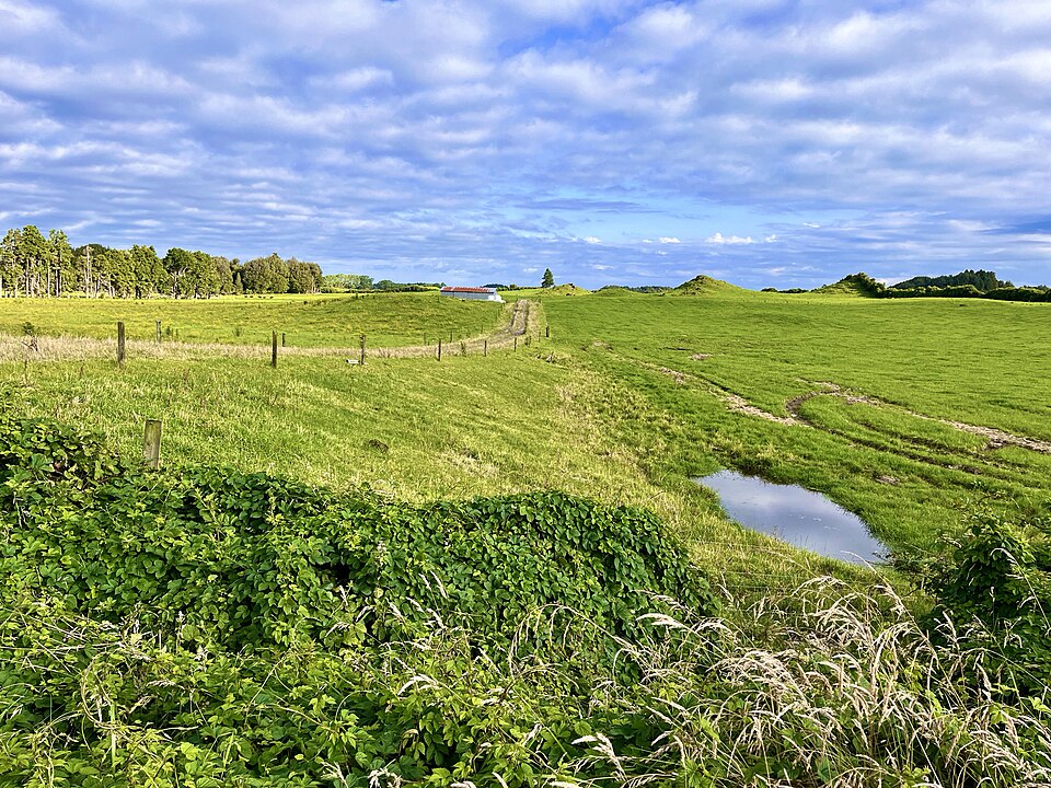 紐西蘭 Rotorua 牧場