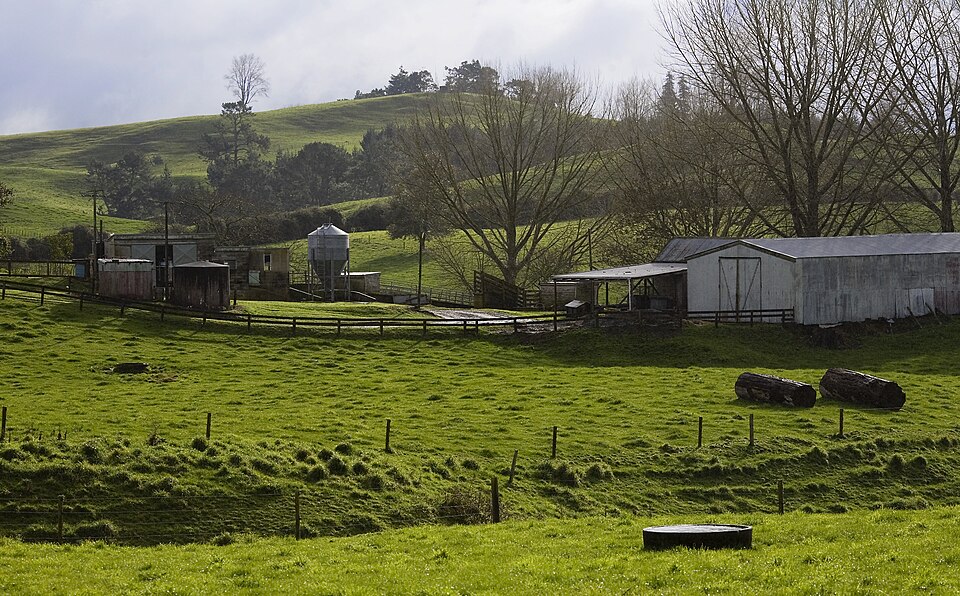 紐西蘭南島春天牧場