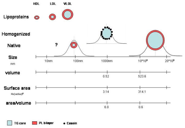 均質化前後牛乳脂肪球粒徑分佈（NIH）