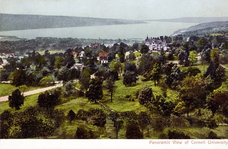 Cornell University 全景